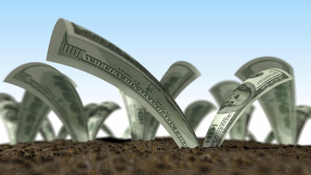 picture of money growing from ground